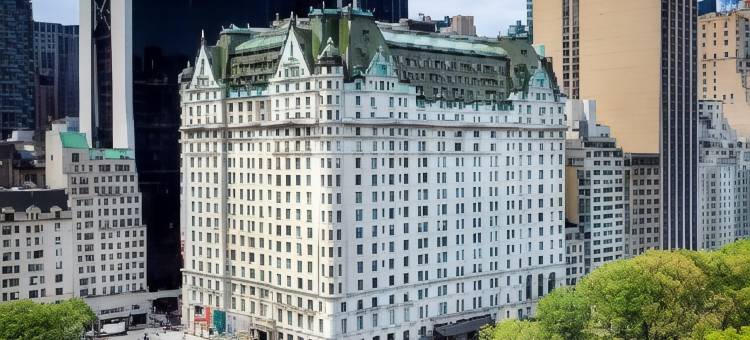 广场酒店 - 费尔蒙酒店(The Plaza, A Fairmont Hotel)图片