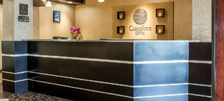舒适酒店(Comfort Inn)图片
