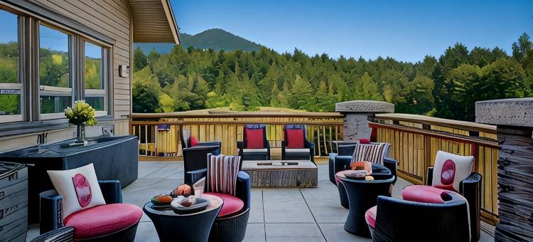 斯阔米什行政套房度假酒店(Executive Suites Hotel and Resort - Squamish BC)图片