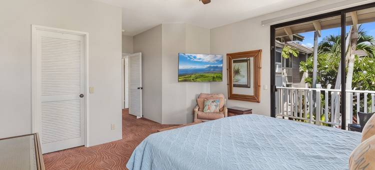 维雷亚3卧2卫度假别墅，海景及日落景观(Sale!! Gorgeous 3BR 2BA Villa in Wailea, With Ocean🌊 and 🌅 Sunset Views)图片