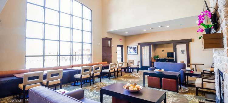 弗里斯科-普莱诺北洲际旗下Staybridge Suites酒店(Staybridge Suites Plano North - Frisco by IHG)图片