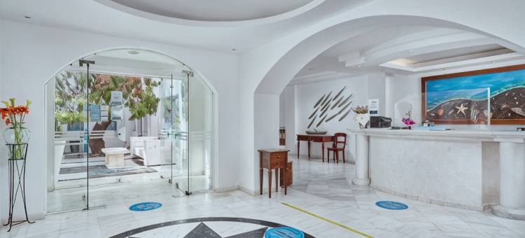 梅特迷村庄酒店(Meltemi Village Hotel)图片