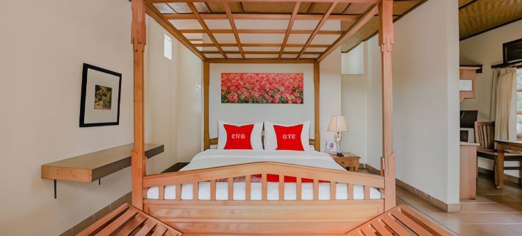 韦丹塔别墅(Vedanta Villa)图片