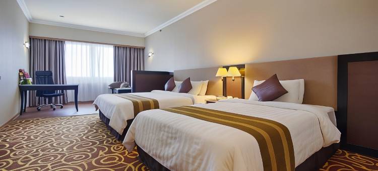梅加酒店(Mega Hotel)图片