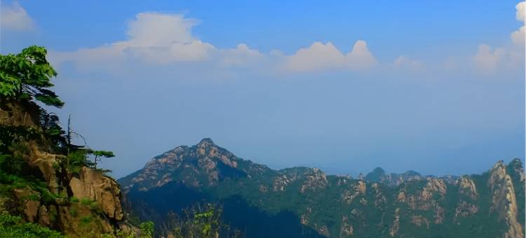 黄山汤口之星公寓图片