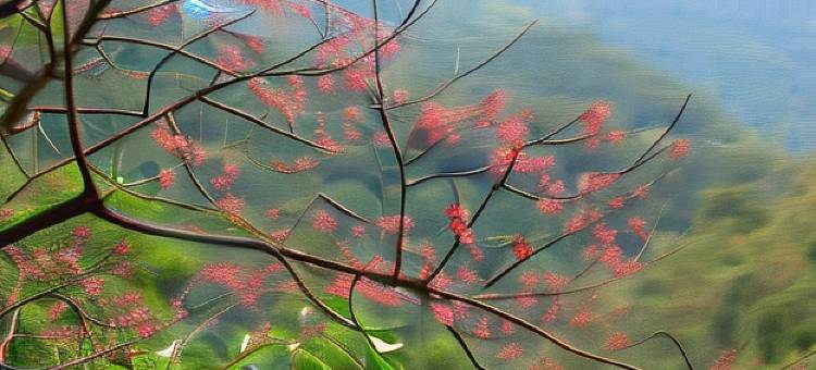 新北Spring Spa温泉山庄图片