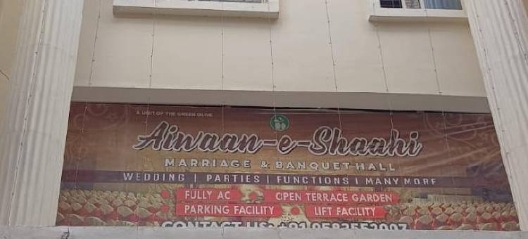 Treebo 绿橄榄(Treebo Green Olive)图片