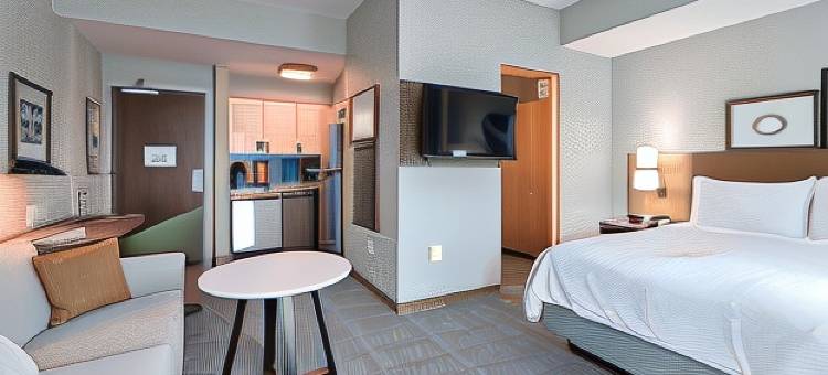 鸽子堡-烟雾山 Staybridge Suites 酒店(Staybridge Suites Pigeon Forge - Smoky Mtns)图片