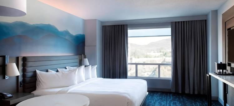 富兰克林冷泉万豪酒店(Franklin Marriott Cool Springs)图片