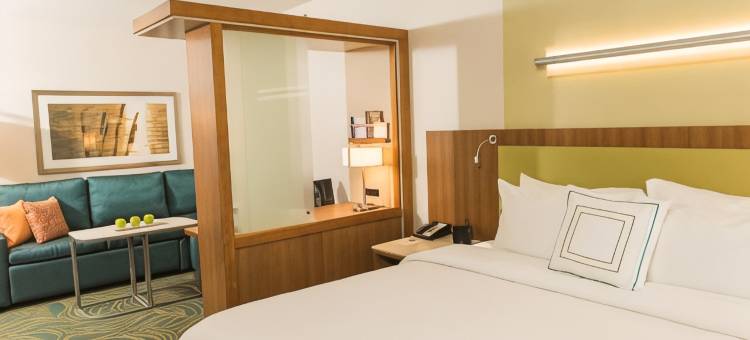 布法罗机场SpringHill Suites酒店(SpringHill Suites Buffalo Airport)图片