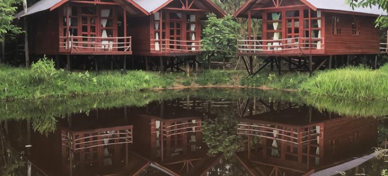 婆罗洲天然苏克毕丽特山林小屋(Borneo Natural Sukau Bilit Resort)图片