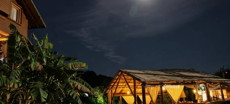 Guesthouse Vila Druri Dhermi图片