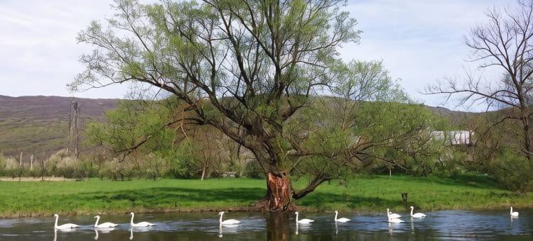 哆民革招待所(Guest House Domig)图片