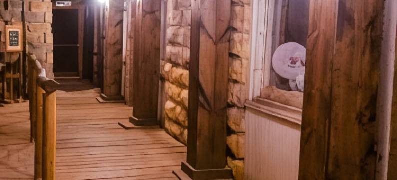 古之沃尔夫酒店(The Historic Wolf Hotel)图片