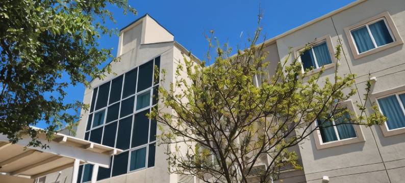 呗盟圣安东尼奥机场酒店(Baymont by Wyndham San Antonio Airport)图片