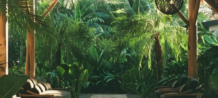 多莫诺萨拉精品酒店(Domo Hotel Boutique)图片