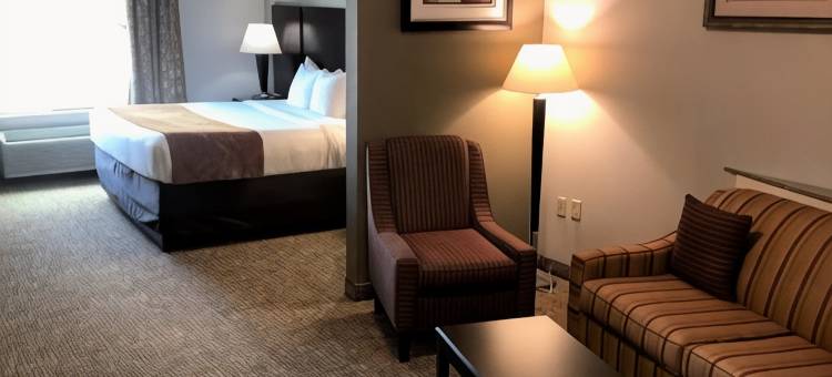 舒适套房酒店(Comfort Suites Bay City)图片