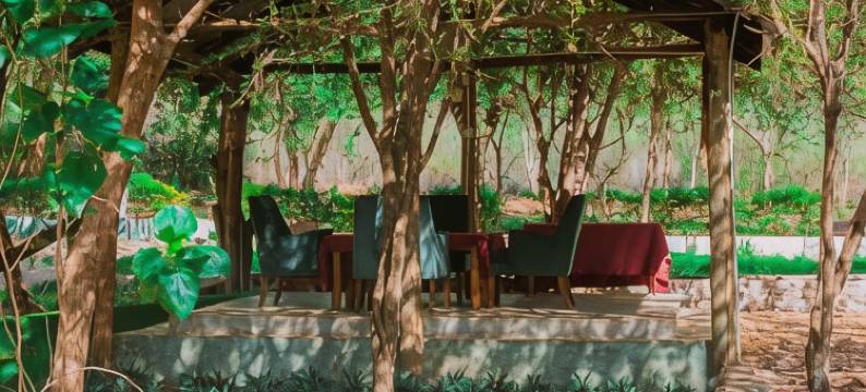 姆科马齐酒店和营地(Mkomazi Hotels and Camp Sites)图片