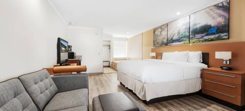 罗斯维尔/底特律地区温德姆戴斯套房酒店(Days Inn & Suites by Wyndham Roseville/Detroit Area)图片