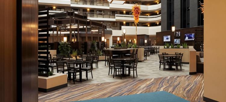 洛杉矶国际机场北安泊套房酒店(Embassy Suites by Hilton Los Angeles International Airport North)图片