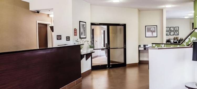 舒眠酒店-康科德市坎纳波利斯(Sleep Inn Concord - Kannapolis)图片