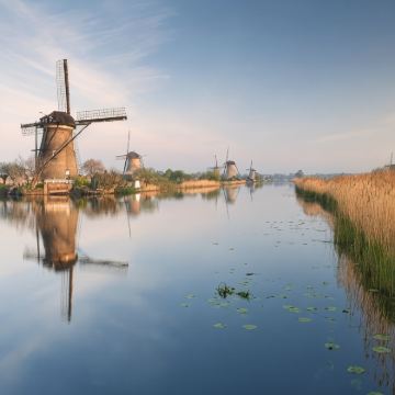 荷兰+比利时+德国12日跟团游 荷兰+比利时+德国12日跟团游