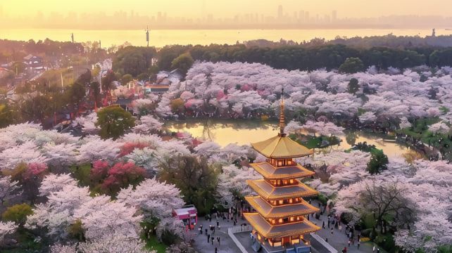 恩施土家族苗族自治州、恩施+9