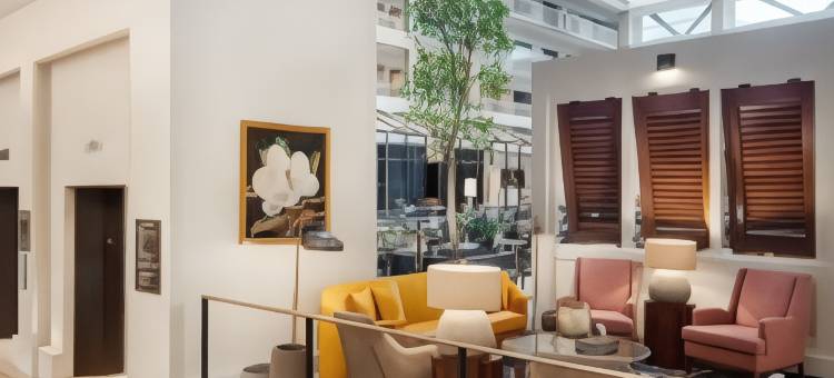 亚特兰大巴克海德希尔顿安泊酒店(Embassy Suites by Hilton Atlanta Buckhead)图片