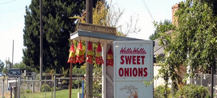 瓦拉瓦贝斯特韦斯特优质套房酒店(Best Western Plus Walla Walla Suites Inn)图片