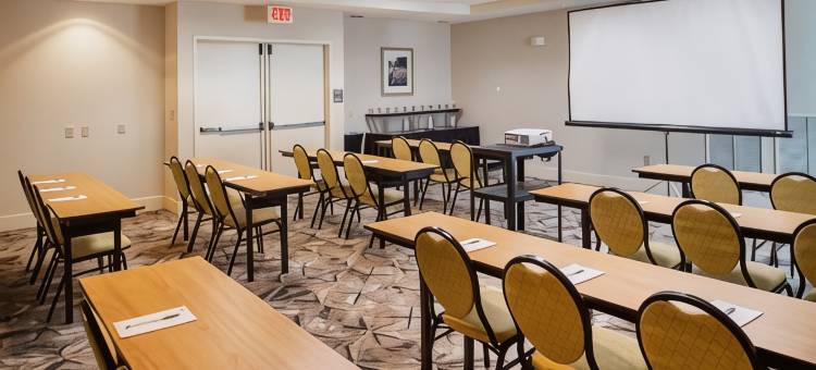 切斯特菲尔德圣路易斯希尔顿花园酒店(Hilton Garden Inn St. Louis/Chesterfield)图片