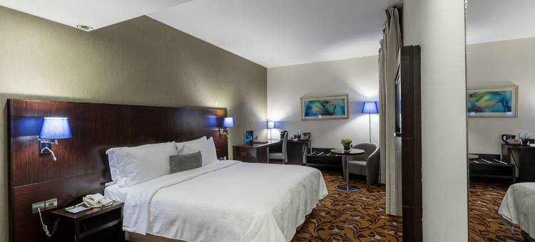 巴比伦罗塔娜酒店(Babylon Rotana Hotel)图片