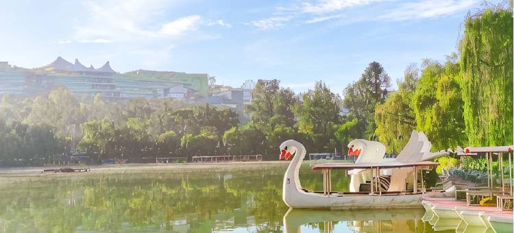 巴登鲍威尔旅舍(BADEN POWELL HOSTEL)图片