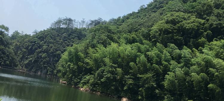 黄山618精品客栈(呈坎镇店)图片