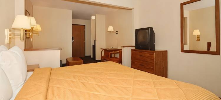 凯艺套房酒店(Quality Inn & Suites)图片