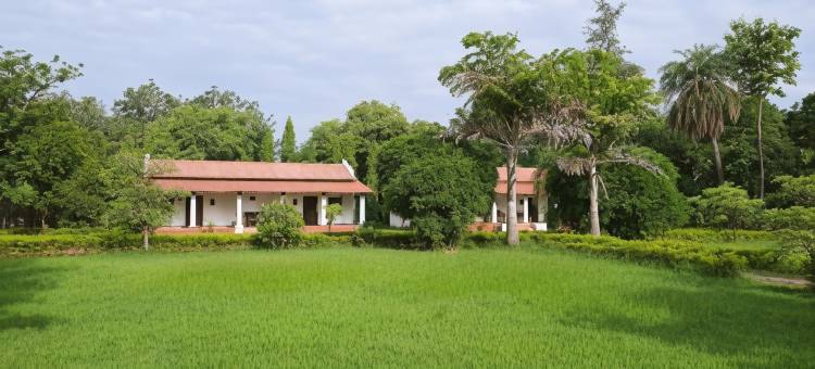 坎克尔宫古迹和KP小屋(KP Cottages)图片