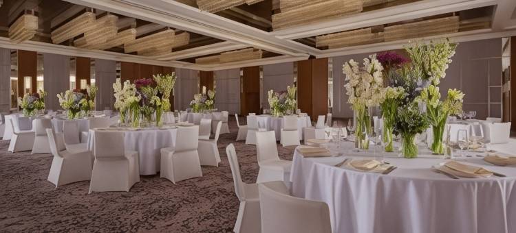 巴库丽思卡尔顿酒店(The Ritz-Carlton, Baku)图片