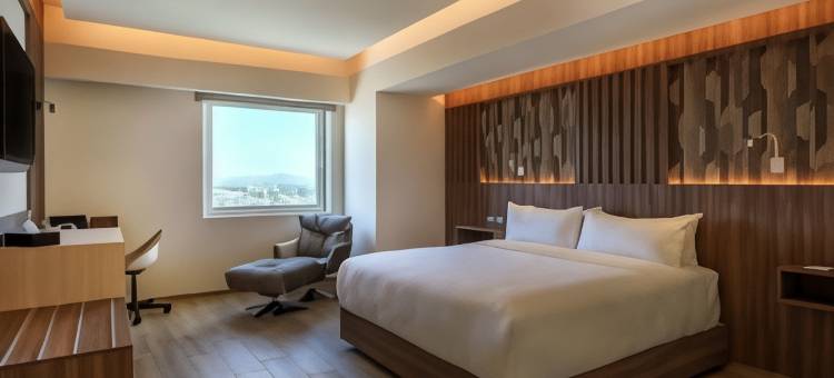 丽笙普埃布拉安赫洛波利斯(Hotel Radisson Puebla Angelopolis)图片