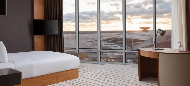 莫斯科伏努科沃希尔顿逸林酒店(DoubleTree by Hilton Moscow — Vnukovo Airport)图片