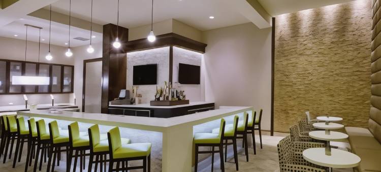 罗利卡瑞希尔顿花园酒店(Hilton Garden Inn Raleigh-Cary)图片