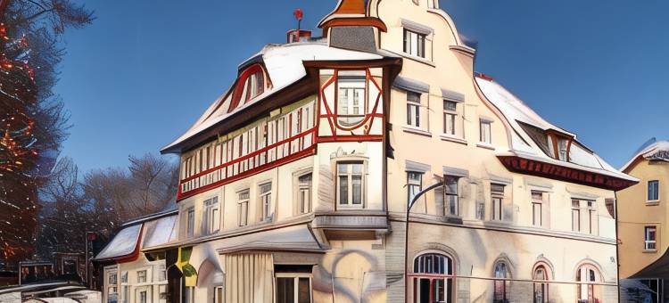 米拉尼公园酒店(Parkhotel Meerane)图片