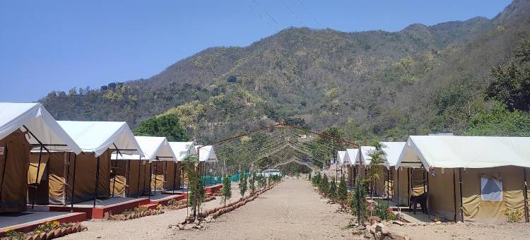 丛林薄雾度假村(The Jungle Mist Resort)图片