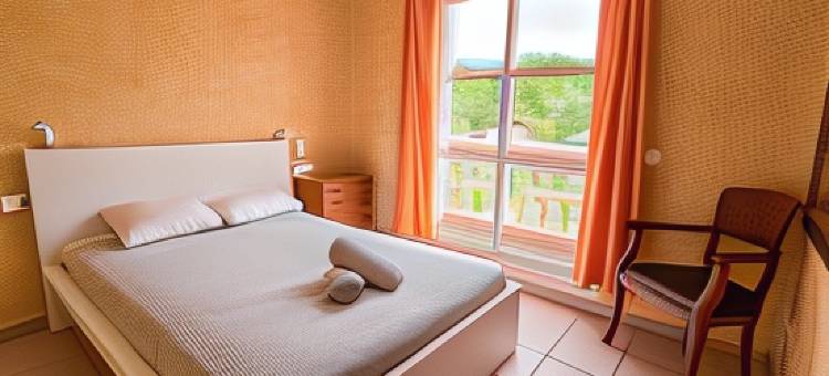 杜克巢旅舍(Duque Nest Hostel)图片