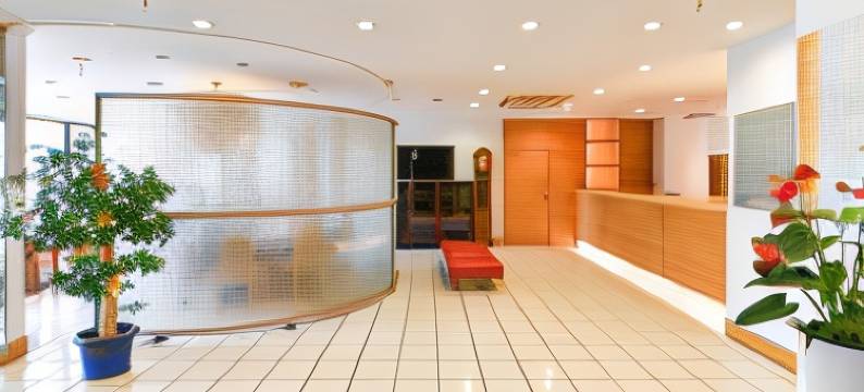 冈崎第一酒店(Okazaki Daiichi Hotel)图片