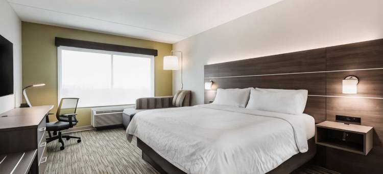 韦兰智选假日套房酒店(Holiday Inn Express & Suites Welland)图片