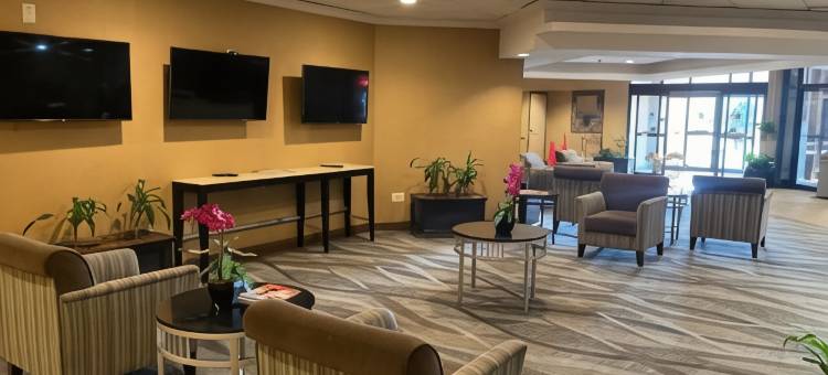 品质酒店(Quality Hotel)图片