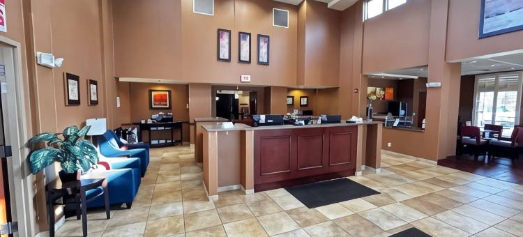 布卢明顿大学附近舒适酒店(Comfort Inn Bloomington Near University)图片