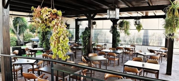 罗桑洛酒店(Hotel Lozano)图片