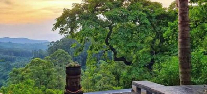 迪玛蒙小屋(Timamoon Lodge)图片