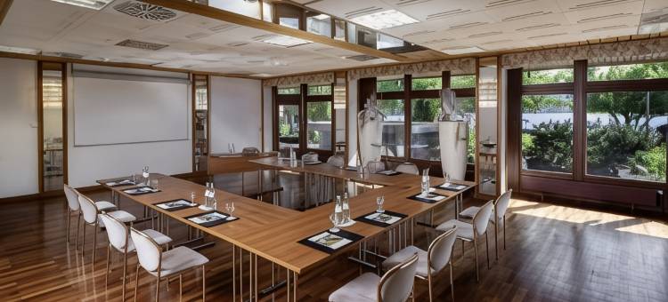 蒂蒂湖酒店(Maritim TitiseeHotel Titisee-Neustadt)图片