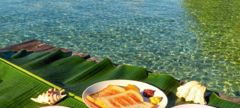 哈姆安帕国王生态潜水度假村(Hamueco Dive Resort Raja Ampat)图片